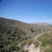 Pedreguer property: Pedreguer, Spain Land 69070