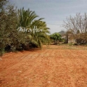 Pedreguer property: Land for sale in Pedreguer 69099