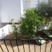 Jalon property: 2 bedroom Apartment in Alicante 100005