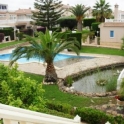 Playa Flamenca property: Penthouse for sale in Playa Flamenca 100060