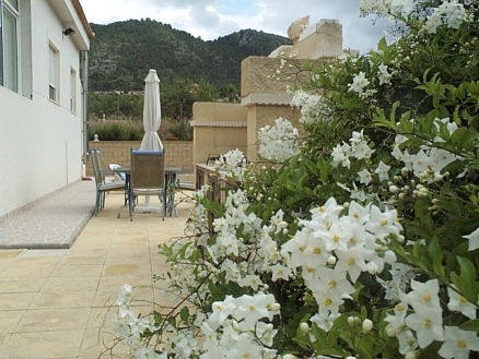 Villa with 5 bedroom in town 102063