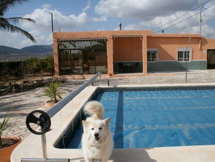 Villa for sale in town, Spain 102168