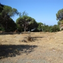 Elviria property: Land for sale in Elviria 109141