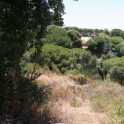 Elviria property: Land for sale in Elviria 109199