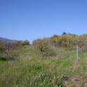 Guaro property: Land for sale in Guaro 109229