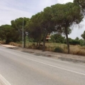 Marbella property: Land for sale in Marbella 109258