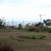 Elviria property:  Land in Malaga 109285