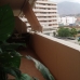 Estepona property: Malaga, Spain Apartment 110440