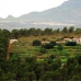 Altea property: Altea, Spain Land 76642