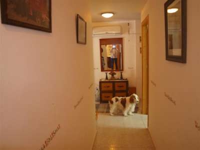 Calabardina property: Apartment with 3 bedroom in Calabardina, Spain 77197