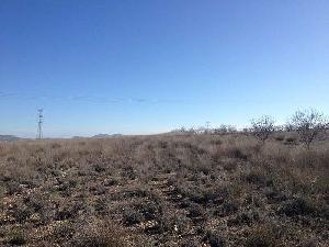 Jumilla property: Land with bedroom in Jumilla 79761