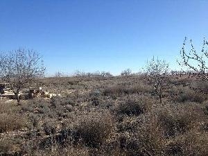 Jumilla property: Land with bedroom in Jumilla, Spain 79761