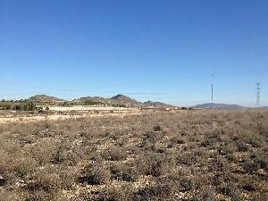 Jumilla property: Jumilla Land 79761