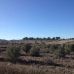 Jumilla property: Jumilla, Spain Land 79761