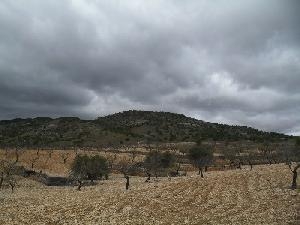 Jumilla property: Land with bedroom in Jumilla 79766