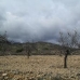 Jumilla property: Murcia Land, Spain 79766