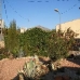 Jumilla property: 4 bedroom House in Murcia 79790