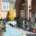 Gran Alacant property: Gran Alacant, Spain Townhome 79940