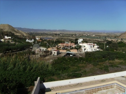 Almeria Townhome 81177