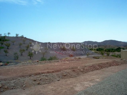 Albox property: Albox Villa 81292