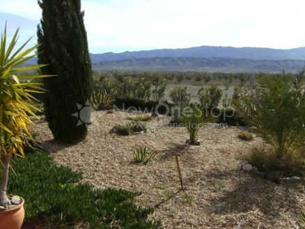 Tabernas property: Country Property for sale in Tabernas 81364