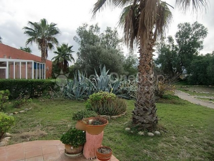 Los Gallardos property: Almeria Villa 81415