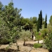 Benissa property: Benissa Villa, Spain 89889