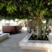 Albatera property: 4 bedroom Villa in Alicante 93738