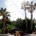 Albatera property:  Villa in Alicante 93738