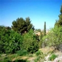 Denia property: Land for sale in Denia 93956