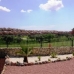 Algorfa property: Algorfa, Spain Villa 95609