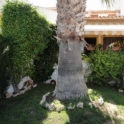 Villamartin property: Villa for sale in Villamartin 95624