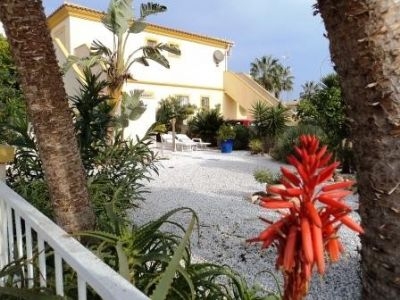 Playa Flamenca property: Apartment with 2 bedroom in Playa Flamenca 95899