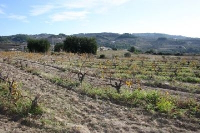 Benissa property: Land for sale in Benissa, Spain 95953