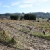 Benissa property: Benissa, Spain Land 95953