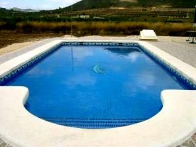 Pinoso property: Villa for sale in Pinoso, Spain 96291