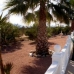 Albatera property: 3 bedroom Villa in Alicante 96329