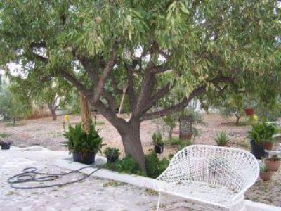 Hondon De Los Frailes property: Villa with 4 bedroom in Hondon De Los Frailes 96604