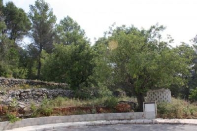 Alcalali property: Land for sale in Alcalali 96830