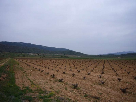 Land for sale in town, Spain 98995