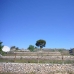 Pinoso property: 3 bedroom House in Pinoso, Spain 98996