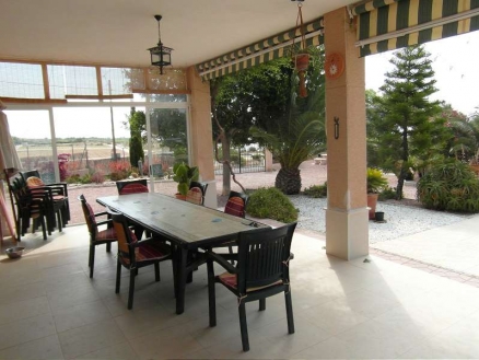 Villamartin property: Villamartin Villa 99002