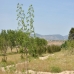 Salinas property: Salinas Villa, Spain 99019