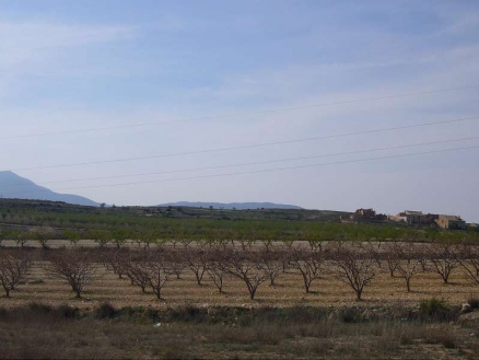 Pinoso property: Land for sale in Pinoso 99073