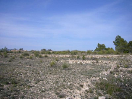 Pinoso property: Alicante property | bedroom Land 99073