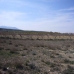 Pinoso property:  Land in Alicante 99073