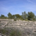 Pinoso property: Alicante Land, Spain 99073