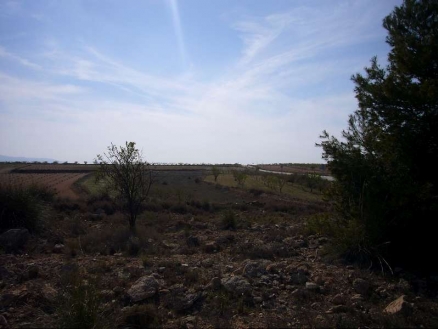 Land for sale in town, Alicante 99075