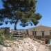 Jumilla property: Murcia, Spain House 99108