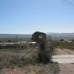 Jumilla property: Jumilla, Spain House 99108